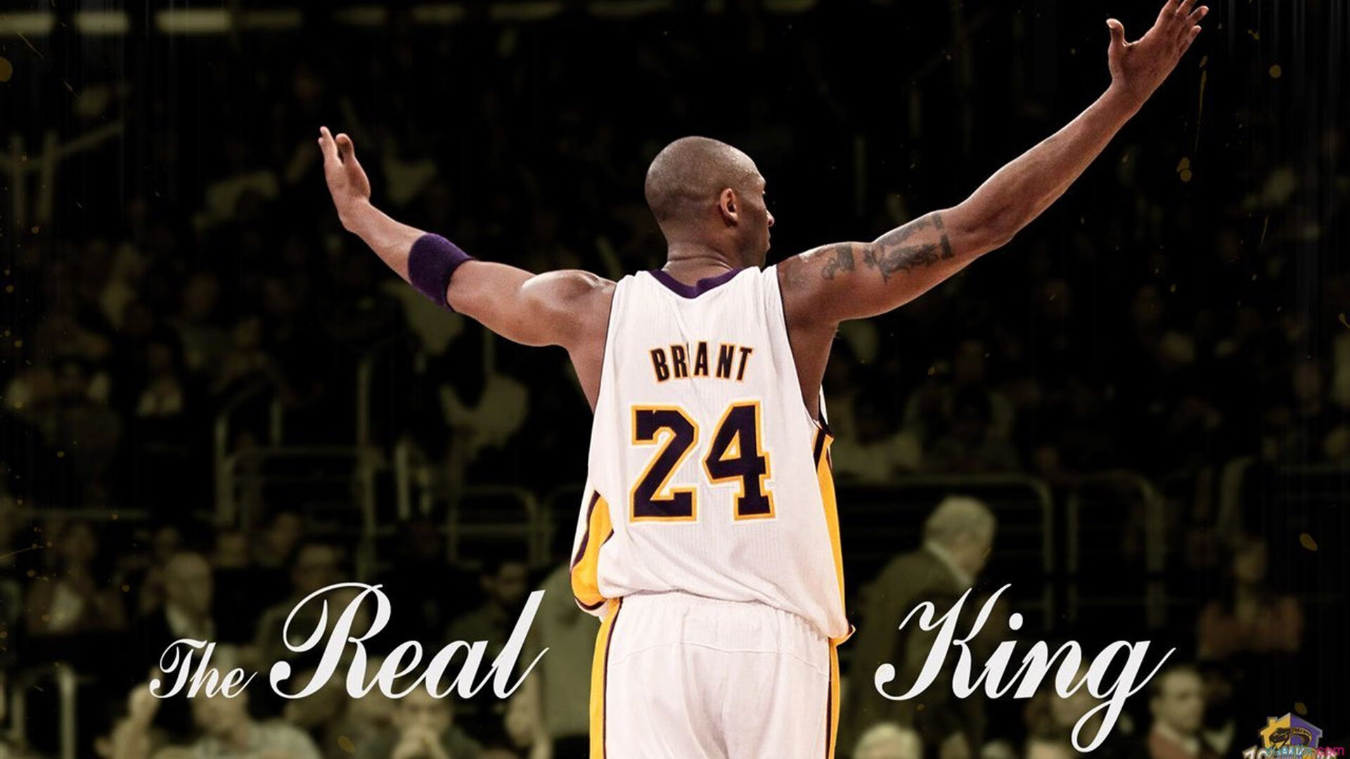 乐鱼体育app下载地址-CBA球队打造视频战术库辅助备战，cba常用战术