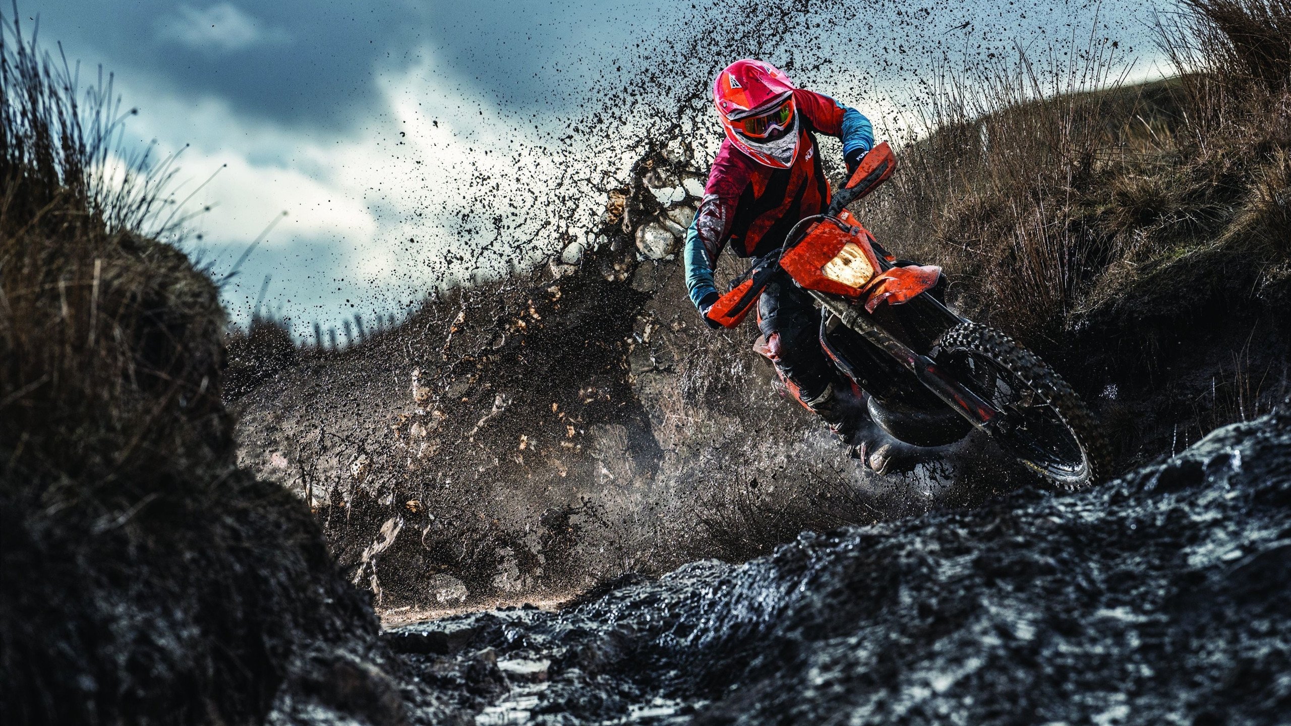 希腊自由泳新秀勇闯四强，希腊游泳